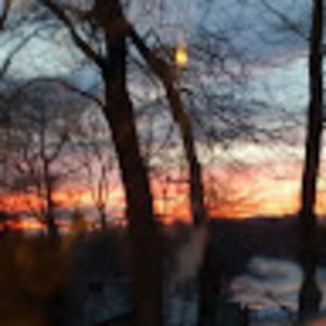 Meet your Posher, Ann